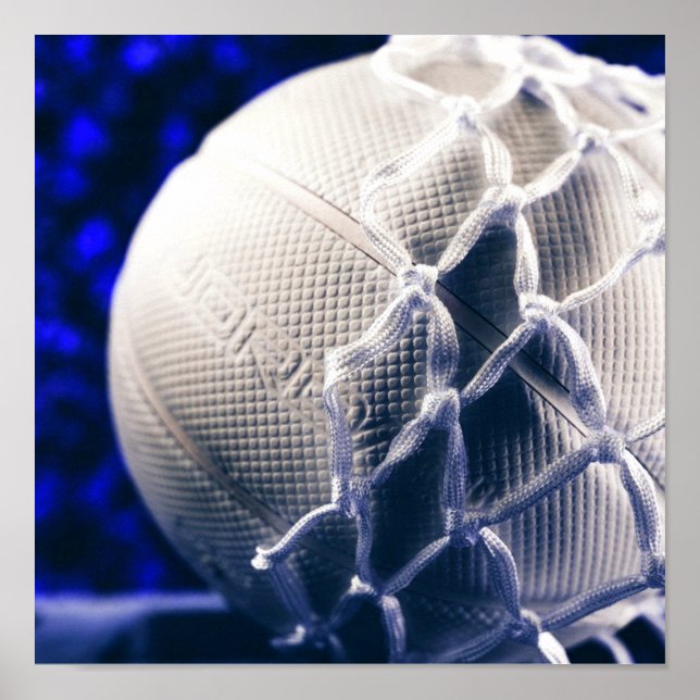 Volleyball- und Netzteam-Coach Poster (Vorne)