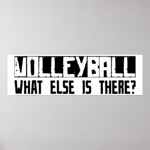 Volleyball Was gibt es sonst noch? Poster