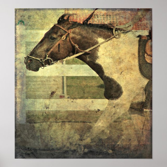 Vollgeschwindigkeit, Pinto Pony Poster (Vorne)