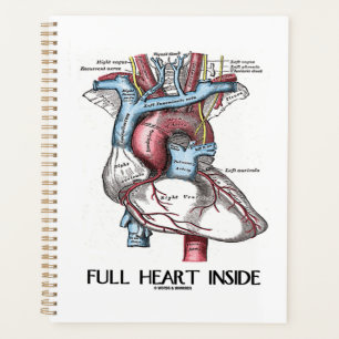Vollherz Inside Anatomische Illustration Planer