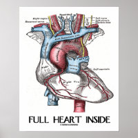 Vollherz Inside Anatomische Illustration