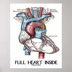 Vollherz Inside Anatomische Illustration Poster