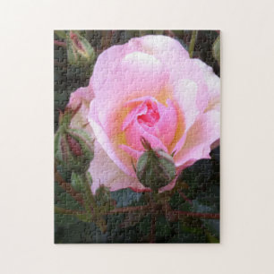 Vollkommene Englische Rose Puzzle
