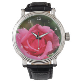 vollkommenes, schönes Foto mit heißen rosa Rose Armbanduhr