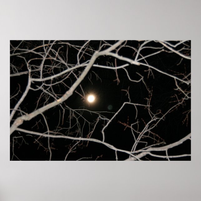 Vollmond auf dem Webposter Poster (Vorne)