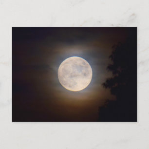 Vollmond auf einem Misty-Abend -  Postkarte