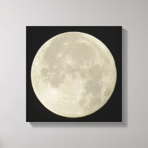 Vollmond auf Leinwand Foto