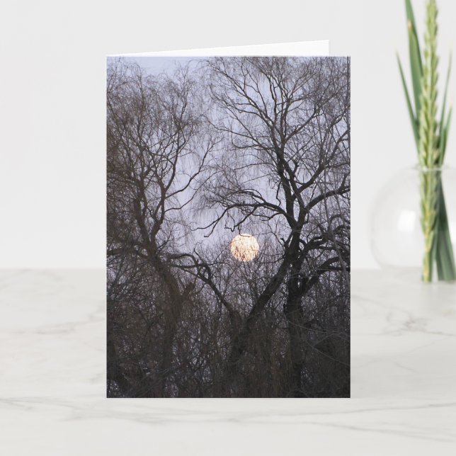 Vollmond im bloßen Baum-Foto Karte (Vorderseite)
