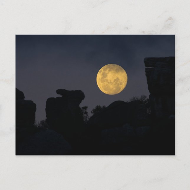 Vollmond in der Wildnis, Südafrika Postkarte (Vorderseite)