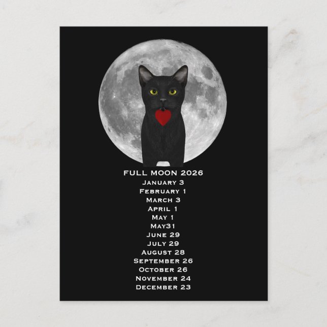 Vollmond-Katze 2026 Postkarte (Vorderseite)