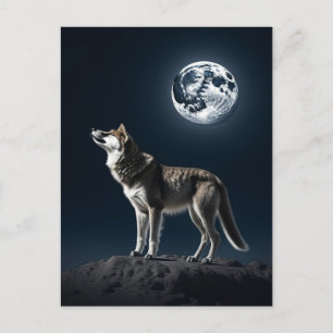 Vollmond leuchtet auf dem Wolf Postkarte