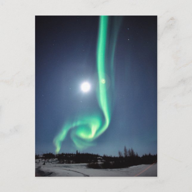 Vollmond mit Aurora | Yellowmesser Kanada Postkarte (Vorderseite)