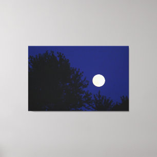 Vollmond mit Bäumen und blauem Himmel Leinwanddruck