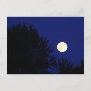 Vollmond mit Bäumen und blauem Himmel Postkarte