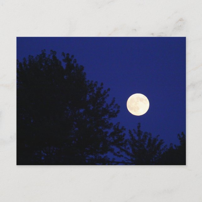 Vollmond mit Bäumen und blauem Himmel Postkarte (Vorderseite)