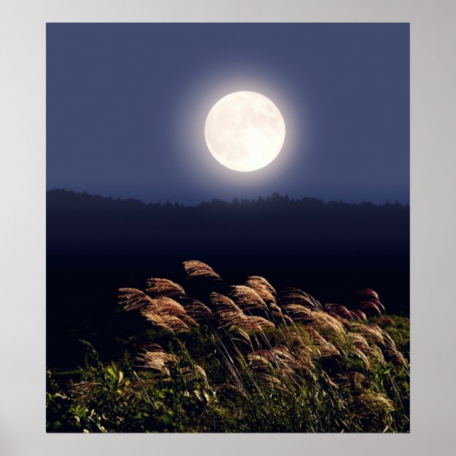 Vollmond Poster (Vorne)