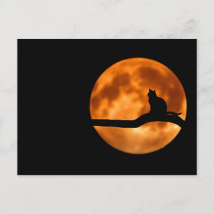 Vollmond Postkarte
