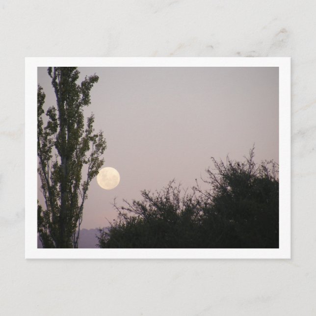 Vollmond Postkarte (Vorderseite)