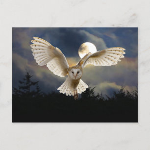 "Vollmond" Postkarte