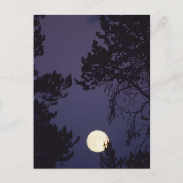 Vollmond Postkarte (Vorderseite)