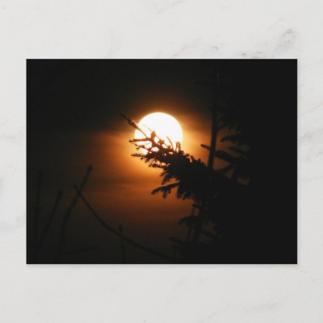 Vollmond-Postkarte Postkarte (Vorderseite)
