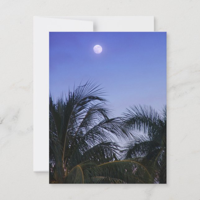 Vollmond steigt (Vorderseite)