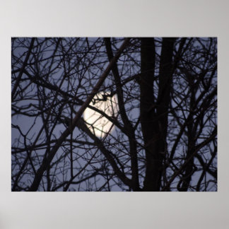 Vollmond-Szene Poster