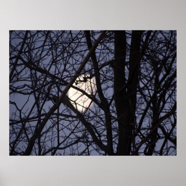 Vollmond-Szene Poster (Vorne)