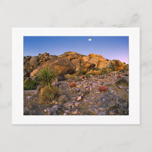 " Vollmond über den Feuerring legen" Postkarte