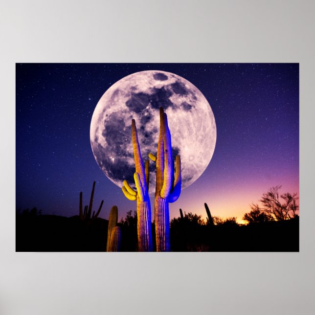 Vollmond über Saguaro Cactus Poster (Vorne)