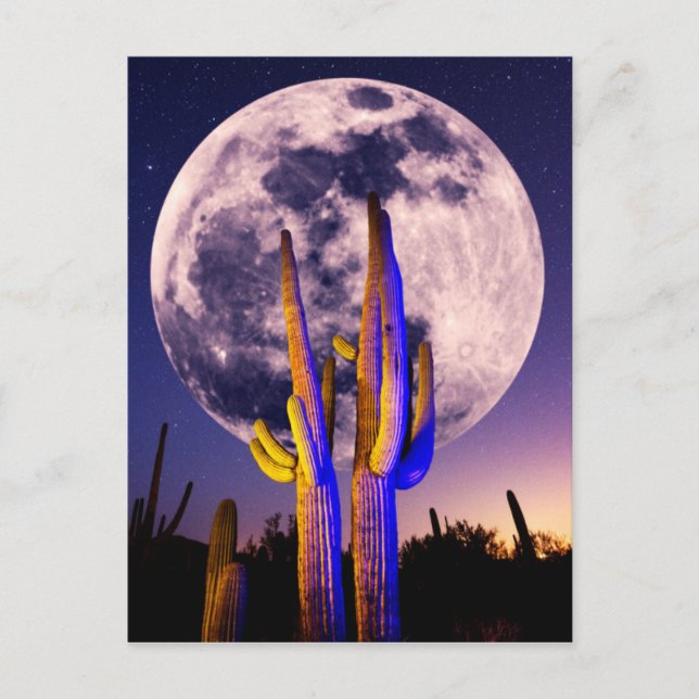 Vollmond über Saguaro Cactus Postkarte (Vorderseite)