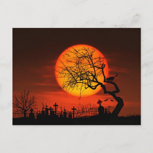Vollmond und Katze über dem Friedhof Postkarte (Vorderseite)