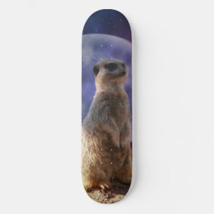 Vollmond und Meerkat, Skateboard