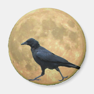 Vollmond, Walking Crow Magnet