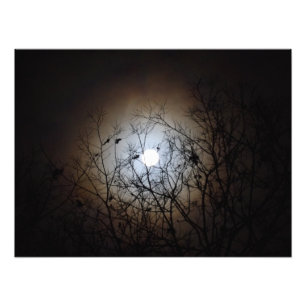 Vollmondfotografie Fotodruck