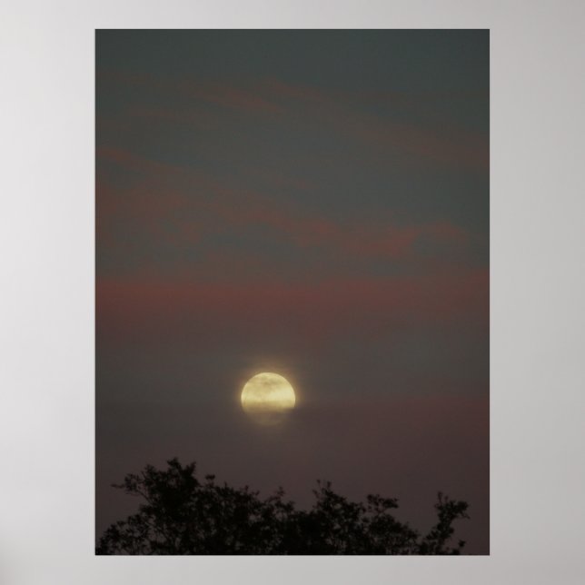 Vollmondglühen Poster (Vorne)