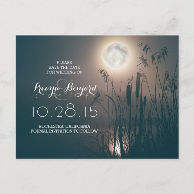 Vollmondnacht mit Libelle und Katzen Save the Date Ankündigungspostkarte (Vorderseite)