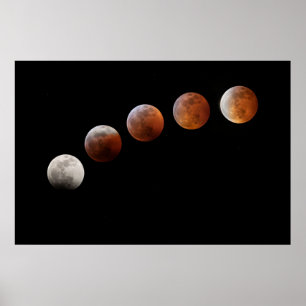 Vollmondphasen Lunar-Eclipse   Colorado Poster
