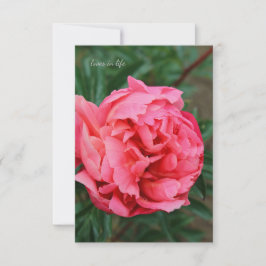 Vollrosa Peony Mitteilungskarte