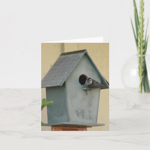 VOLLSTÄNDIGE BIRDHOUSE BLANK NOTECARD KARTE