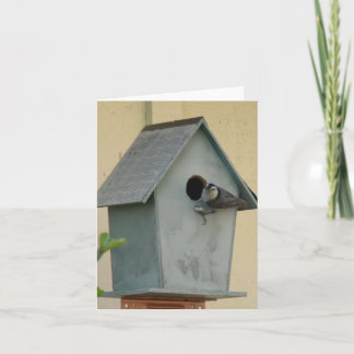 VOLLSTÄNDIGE BIRDHOUSE BLANK NOTECARD KARTE