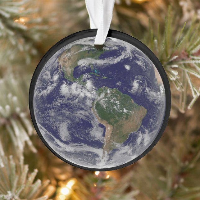 Vollständige Erde mit verschiedenen tropischen Stu Ornament (Baum)