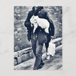 vollwertiger Output_c78 Schwarz-Weiß-Spitz Postkarte