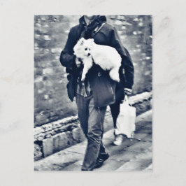 vollwertiger Output_c78 Schwarz-Weiß-Spitz Postkarte