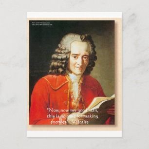 Voltaire "No Enemies" Weisheit Zitat Geschenke T-S Postkarte