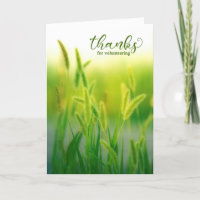 Volunteer Sommer Grasses