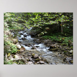 Vom Fluss Fotografy Poster
