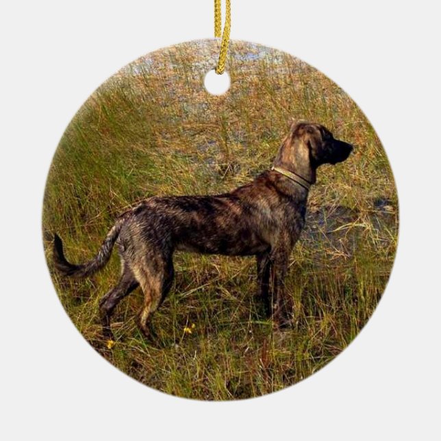 Vom Hund-benutzerdefinierten Ornament (Vorne)