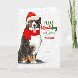 vom Hund Bernese Mountain Dog Weihnachten