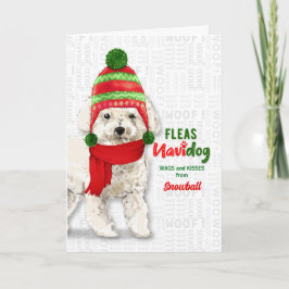 vom Hund Bichon Frise Dog Weihnachten